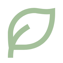 Thiết kế web tại Bắc Ninh 3 leaf line