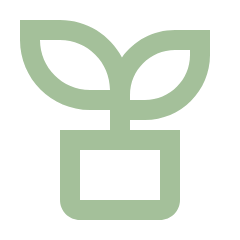 Thiết kế web tại Bắc Ninh 1 plant line
